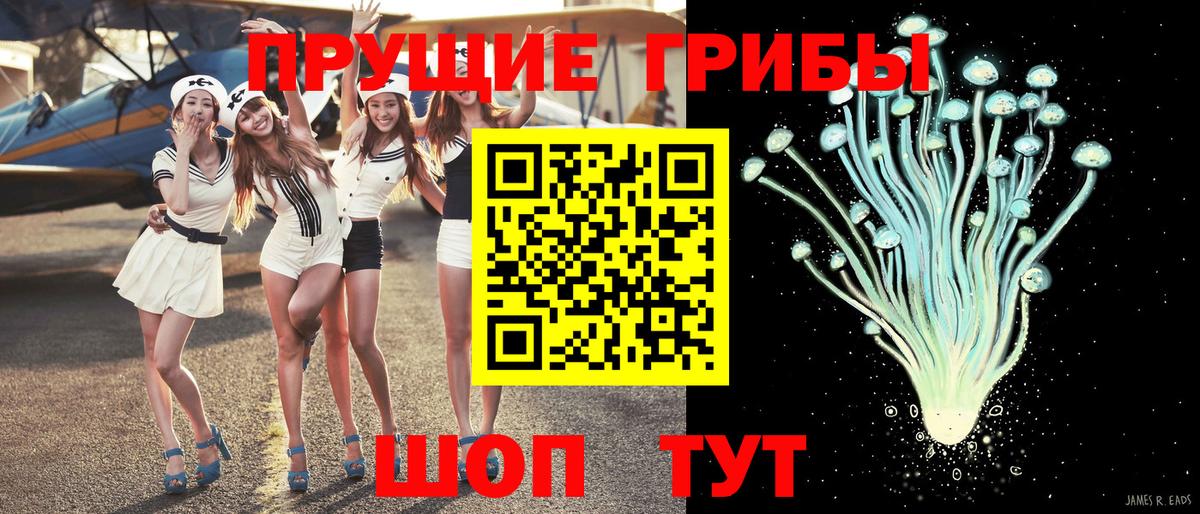 Псилоцибиновые грибы Psilocybe  купить   Псилоцибиновые грибы Psilocybe  Якутск  Вход с VPN 